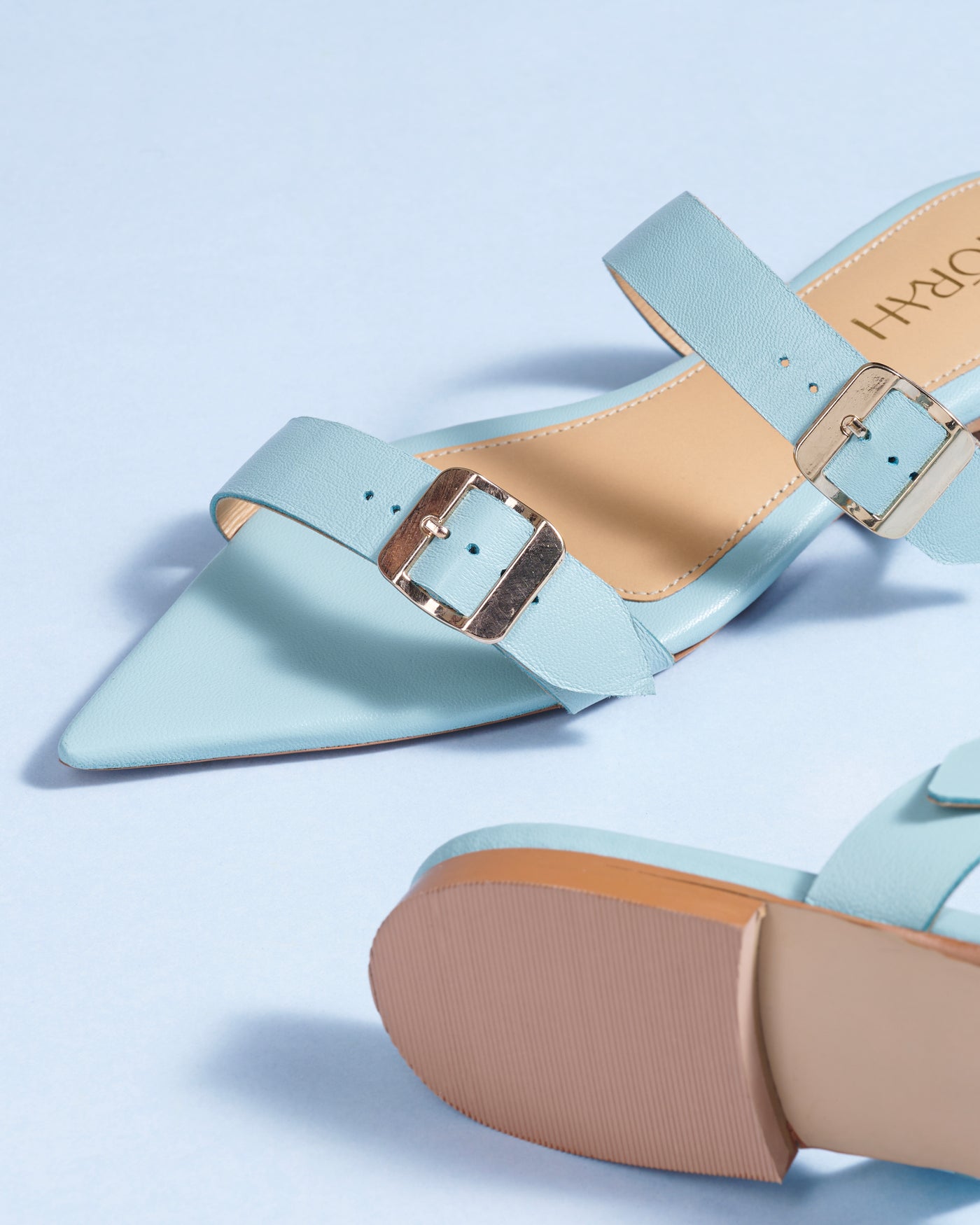 Cleo Leather Pointed Flats