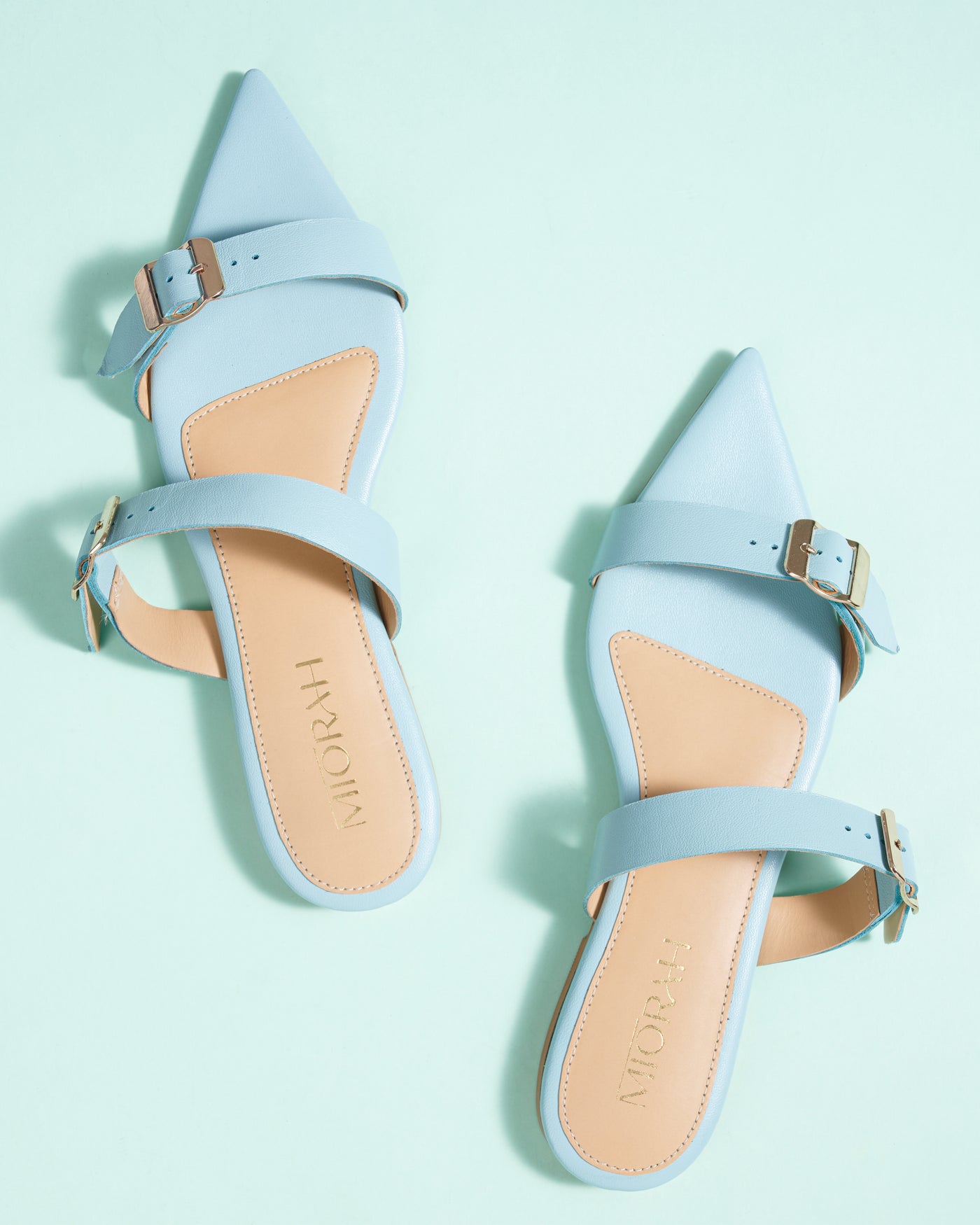 Cleo Leather Pointed Flats