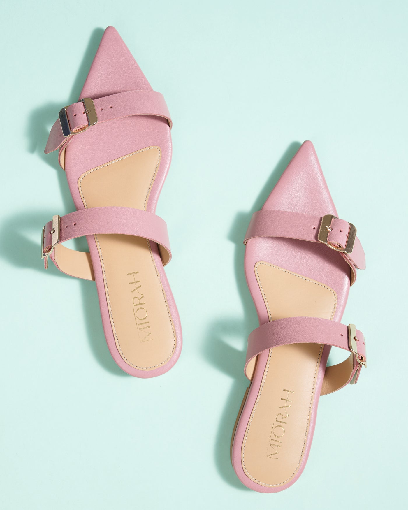 Cleo Leather Pointed Flats