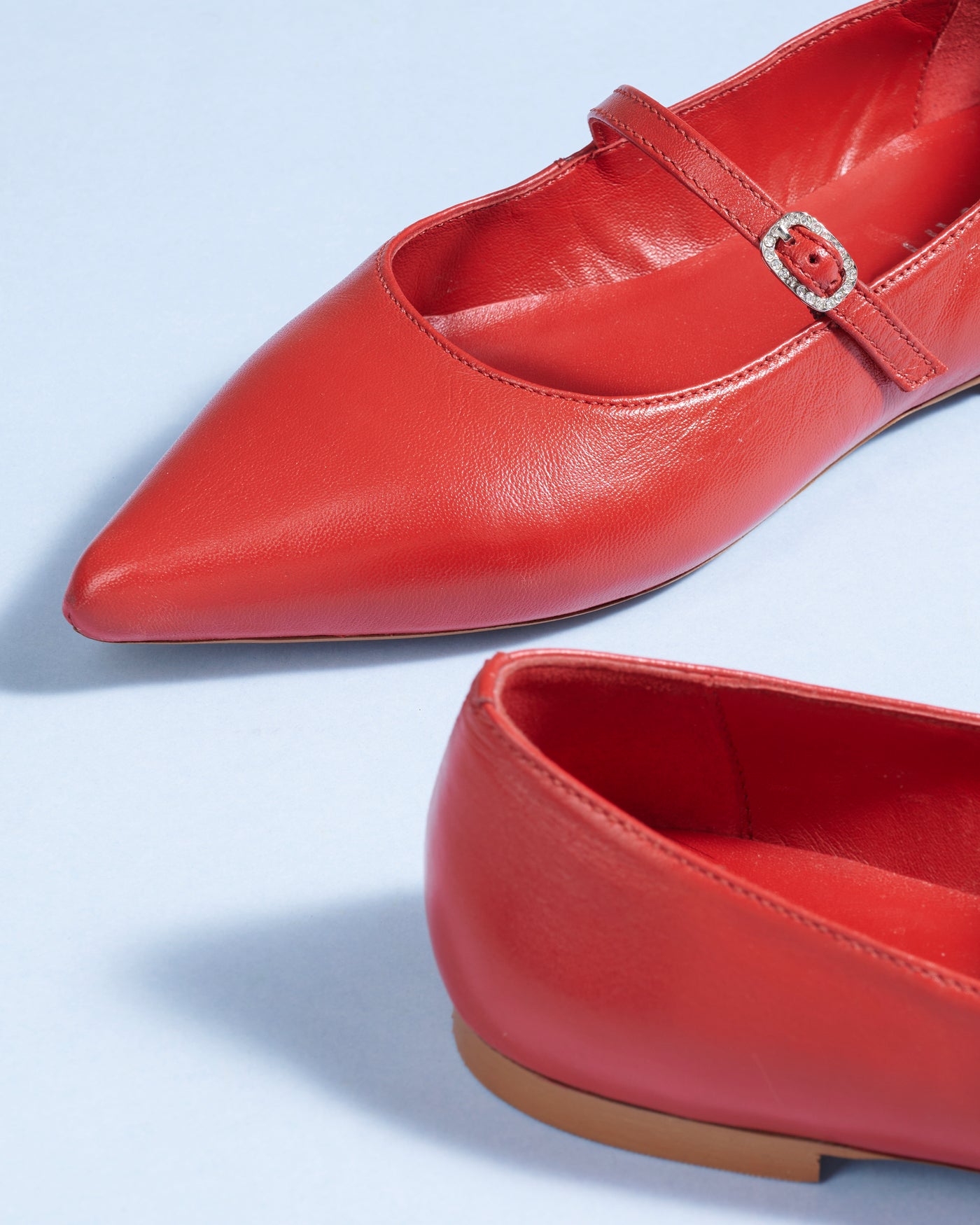 Poppy Leather Pointed Ballerinas