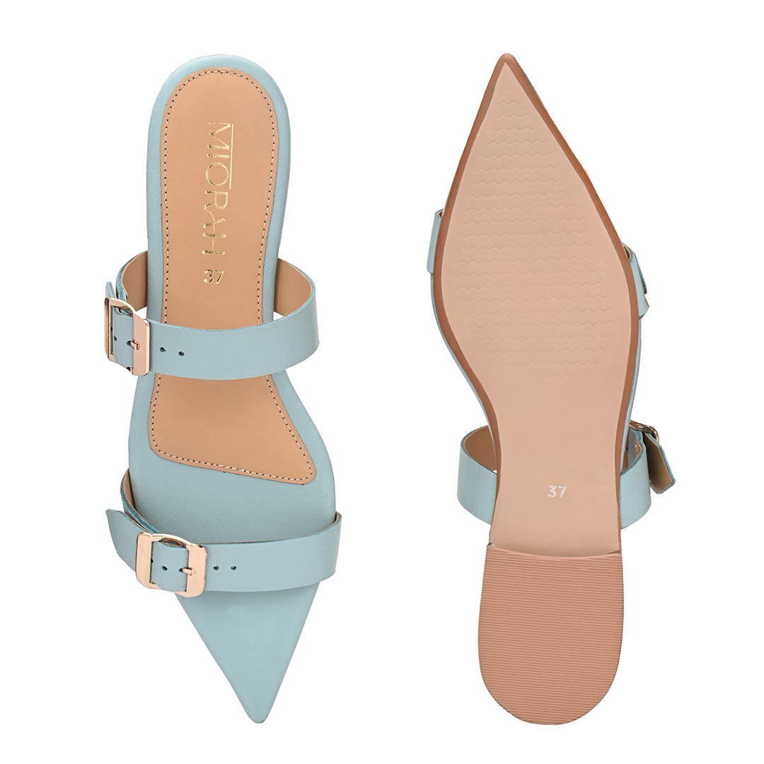 Cleo Leather Pointed Flats