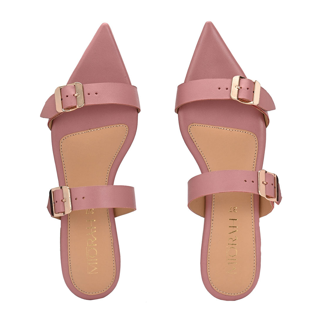 Cleo Leather Pointed Flats
