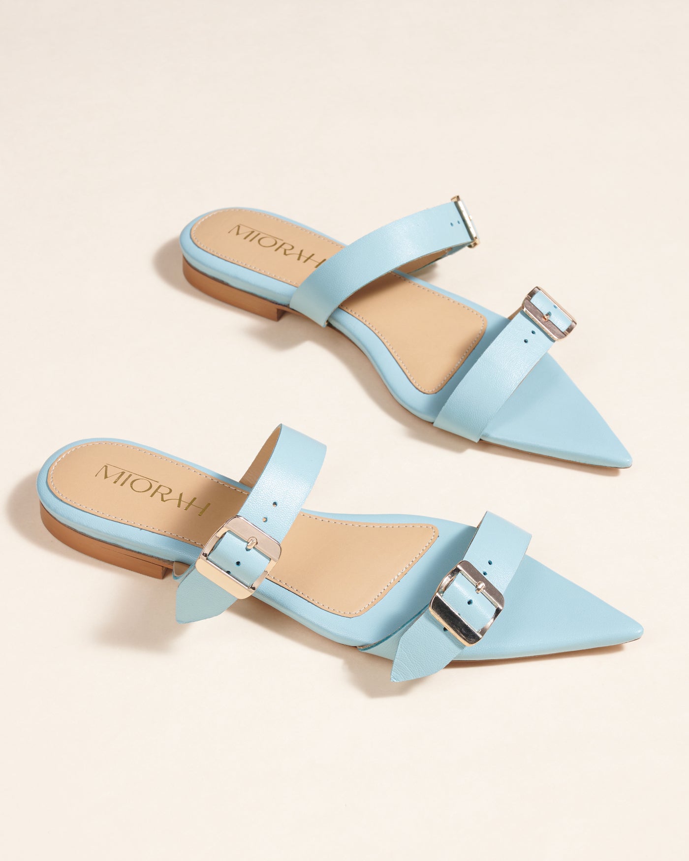 Cleo Leather Pointed Flats