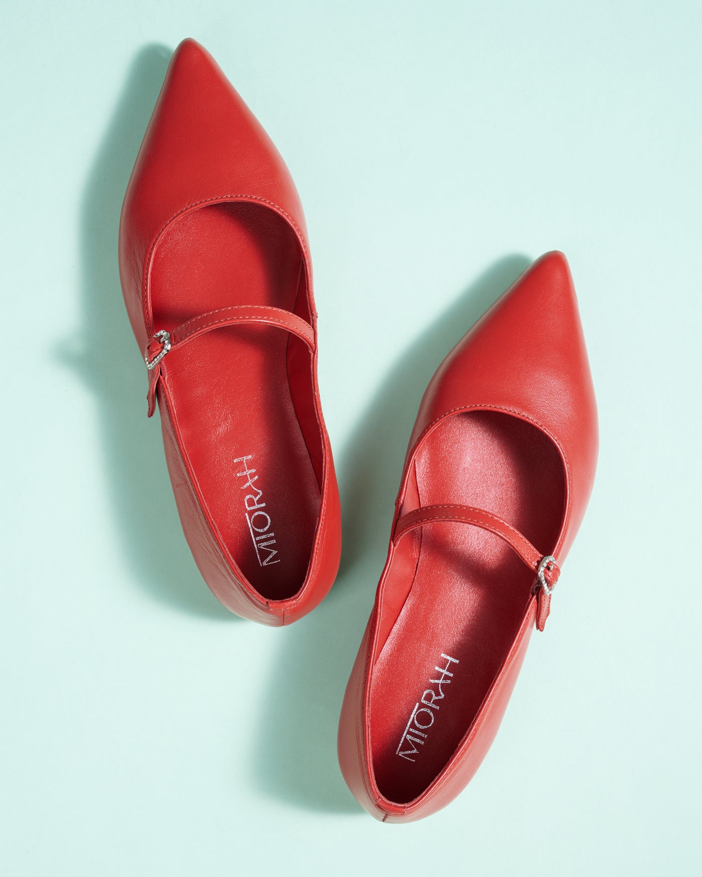 Poppy Leather Pointed Ballerinas