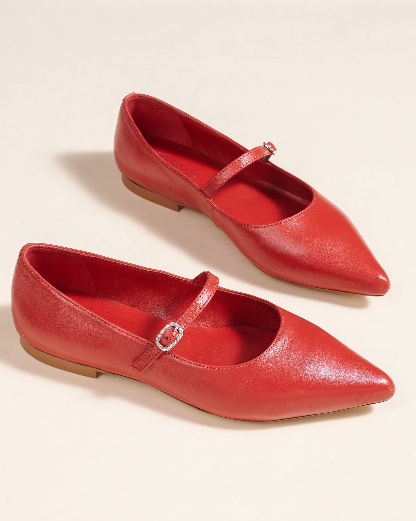 Poppy Leather Pointed Ballerinas