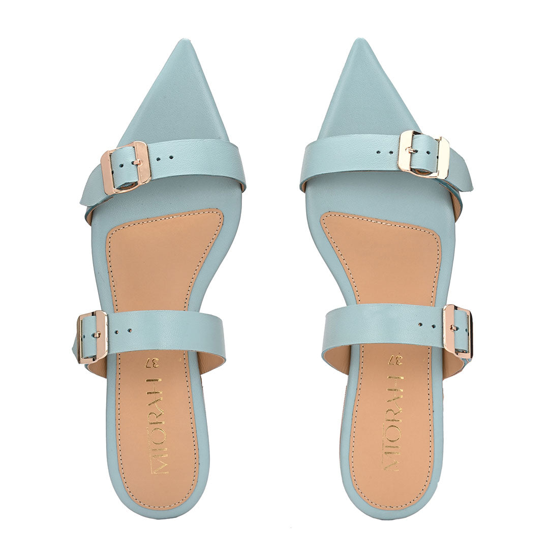 Cleo Leather Pointed Flats